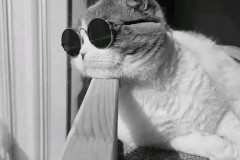 C罗回归曼联？滕哈赫如何运用‘更衣室密码’重塑红魔？